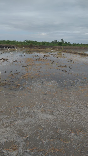 Opinii despre Full Market în Machala - Gastronomía y hostelería