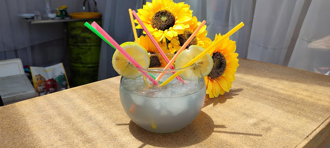 Comentarii opinii despre Magic Garden