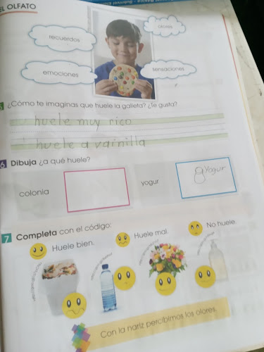 Panaderia Principal - Pedro Vicente Maldonado