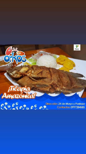 Comentarii opinii despre ORKOS MARISQUERIA