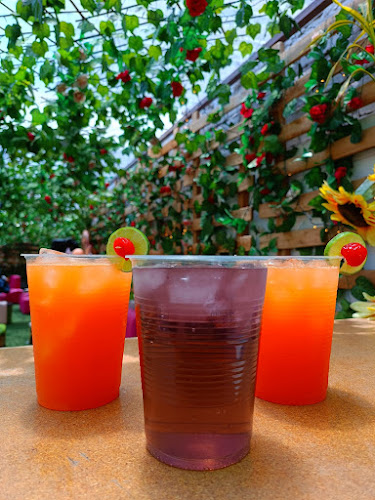 Comentarii opinii despre Magic Garden