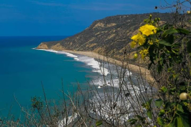 Opinii despre Restaurante Estrella del Mar în San Lorenzo - Gastronomía y hostelería