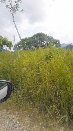 Opinii despre Tuna Nunka în Chicaña - Gastronomía y hostelería