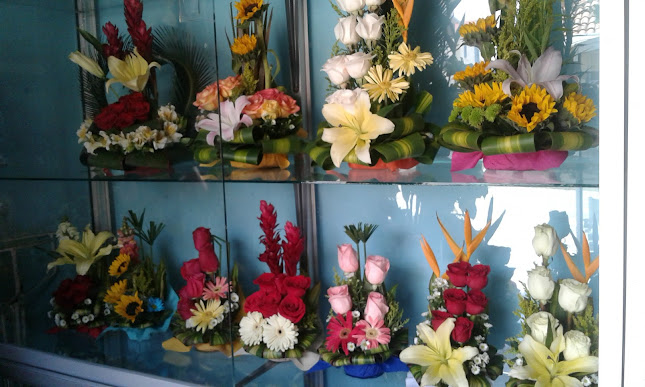 3XXX+5Q4, Honorato Vásquez, Cuenca