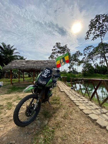 BALNEARIO Y CAMPAMENTO - LAS PALMAS - Gastronomía y hostelería