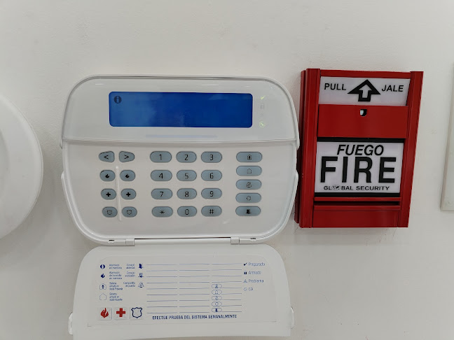 Comentarii opinii despre Domino's Pizza