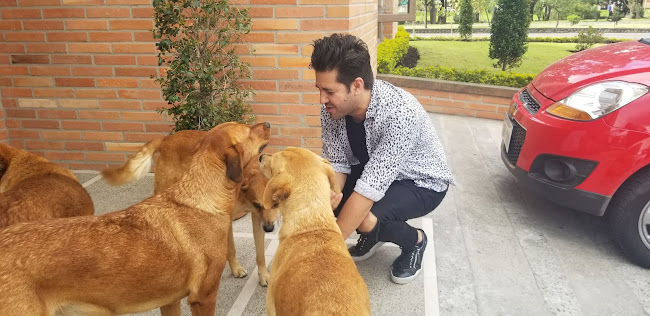 Honey - Gastronomía y hostelería