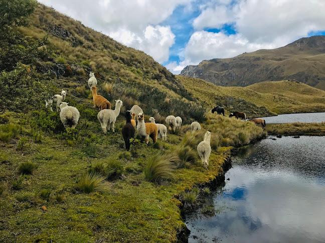 Rancho Hnos Prado - Cuenca