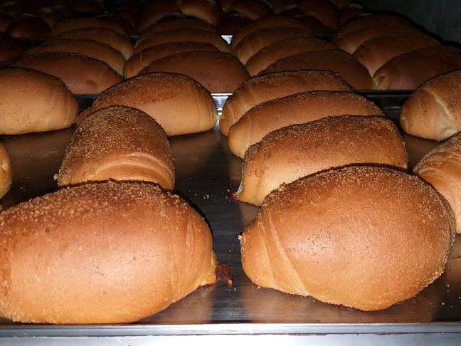 Comentarii opinii despre Panadería & Pastelería "Delicia"