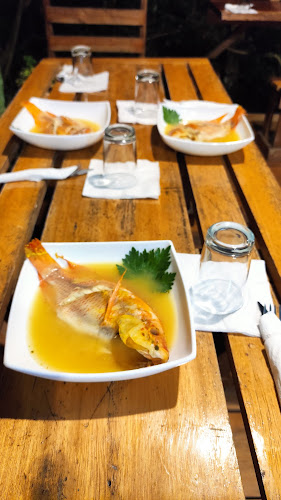 Taquito Siona - Gastronomía y hostelería