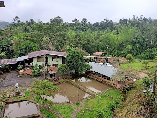 Comentarii opinii despre El Refugio de Paus