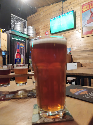 Camino del SOL - Ibarra