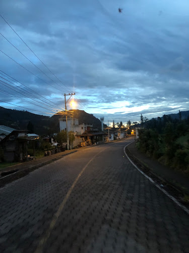 Waylla Kury Aguacate Organico - Gastronomía y hostelería