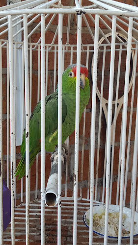 K'baña Restaurant - Durán