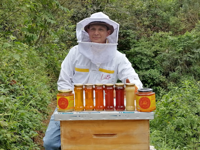 Comentarii opinii despre Meliponario Vitae