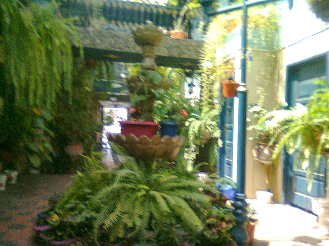 Opinii despre Restaurante Cafeteria "Pumapungo" în Cuenca - Gastronomía y hostelería