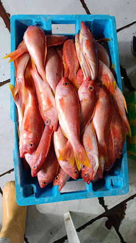 Paquisha 129, Quito 170148