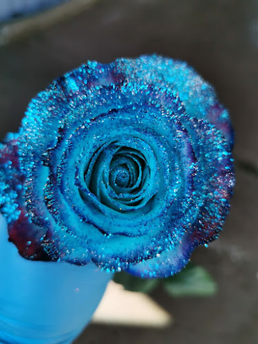 Luxury Flowers Luxflower S.A. - Gastronomía y hostelería