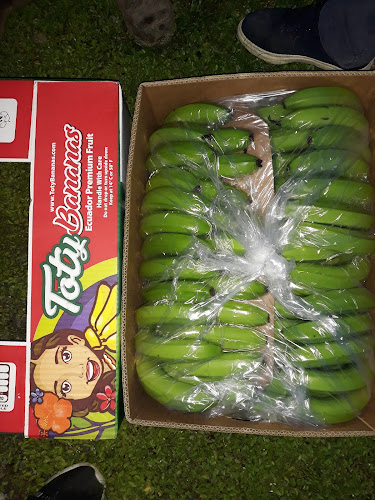 Campamento regar - Gastronomía y hostelería