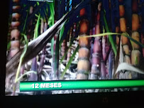 RESTAURANT "LA BOTELLA" - Catamayo