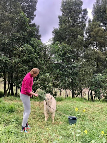 Closed - Gastronomía y hostelería