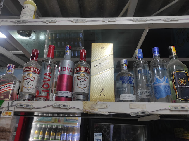 Hueca bielas Salinas - Salinas