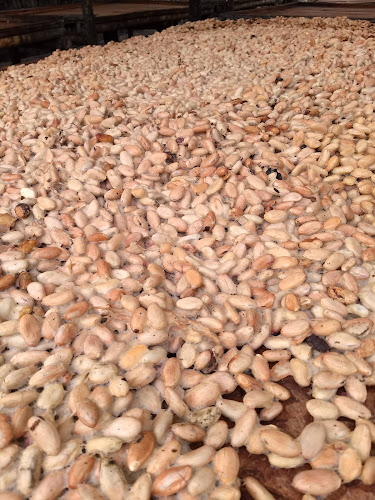 Republica del cacao - Gastronomía y hostelería