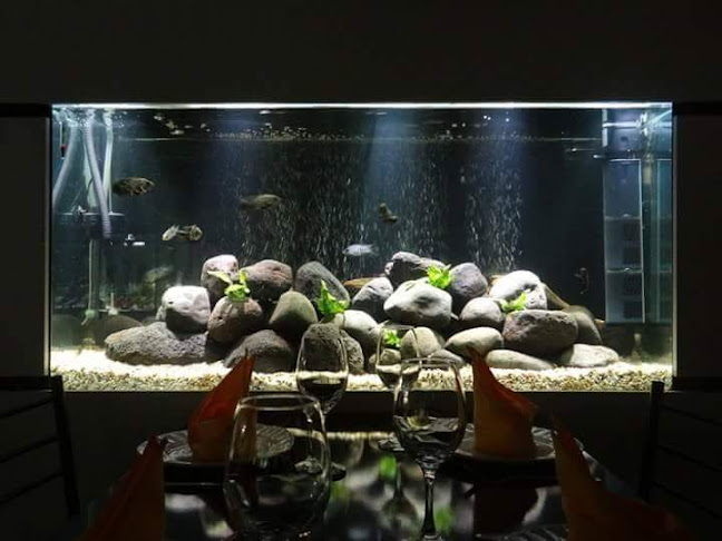 Guipuzcoa E13-93 y, Quito 170109