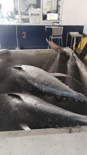 Pescadería la caraguay - Quito