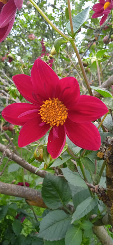 San Antonio de Trabana