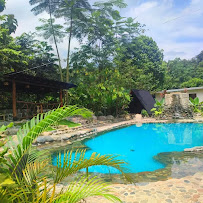 Opinii despre Rojo Verde y Ajo în La Maná - Gastronomía y hostelería