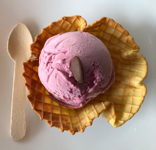 Comentarii opinii despre Galapagos Icon