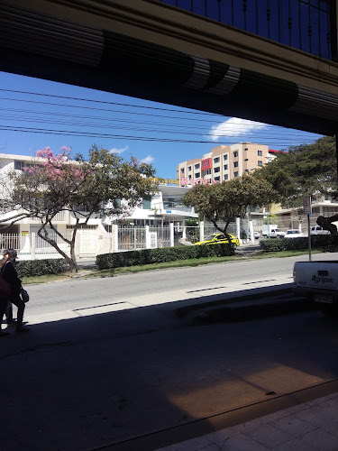 Comentarii opinii despre Pollos Ricky