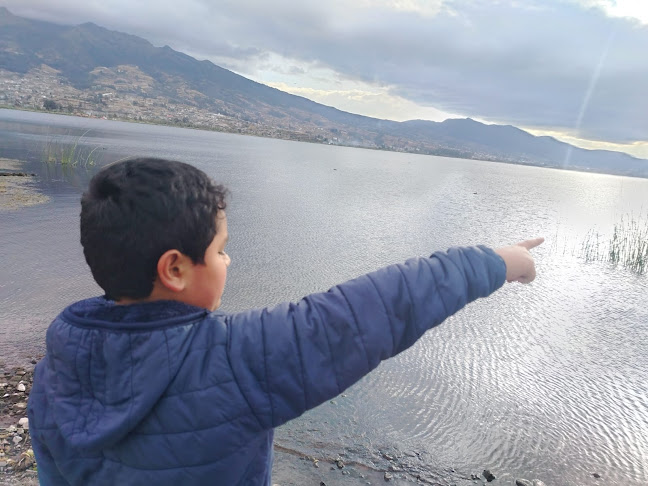 Distribuidora de helado Frigo Mayorga - Gastronomía y hostelería