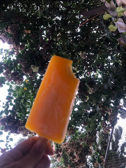 Rey Paleta