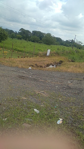 Mundo Lacteo (Paul Olsen) - Gastronomía y hostelería