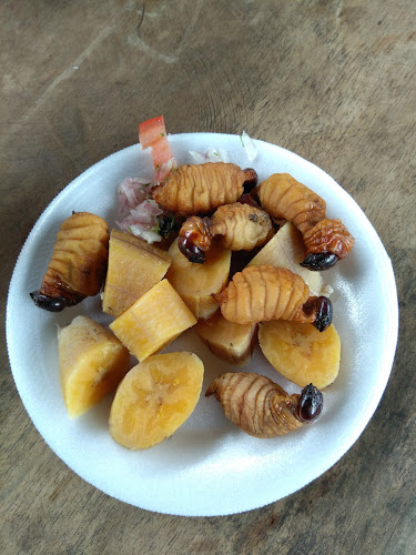 Opinii despre Mi Bella Estacion în Tayuza - Gastronomía y hostelería