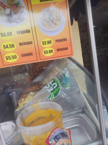 Chaulafan Andino - Guayaquil