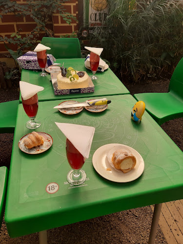 Café Bar Karaoke - La Casa Ronka - Gastronomía y hostelería