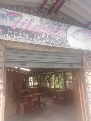 Comentarii opinii despre La Tilapia Restaurant