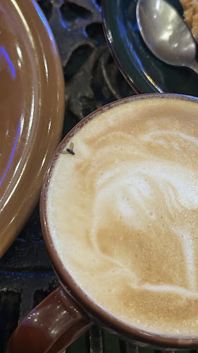 Comentarii opinii despre Red Rabbit Coffee Lounge