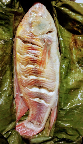 Golden Coffee Amazonas