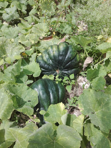 Finca Divino Niño - Bahía de Caráquez