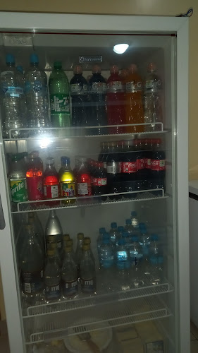 El Palacio Del Helado Puembo