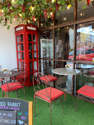 Red Rabbit Coffee Lounge