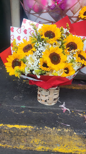 Mercado de las Flores - Gastronomía y hostelería