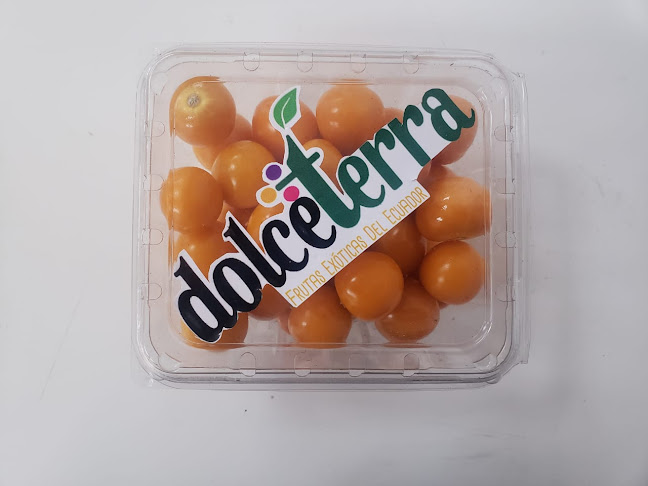 Opinii despre Dolceterra în Laquigo - Gastronomía y hostelería