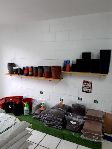 CANNA-GROUND - Santo Domingo