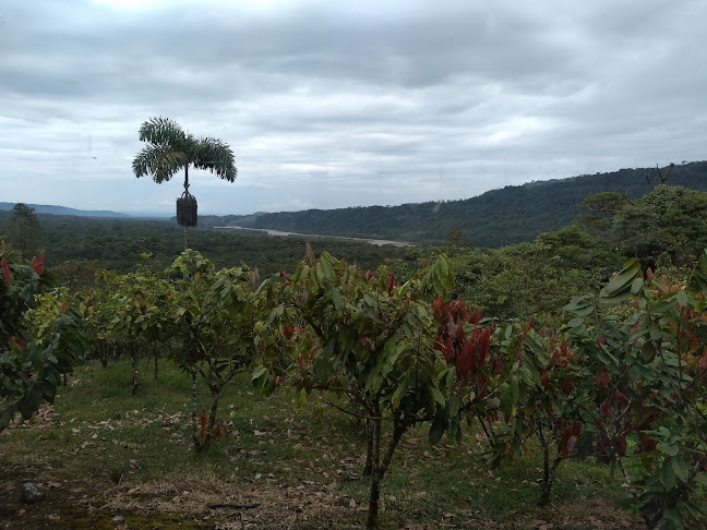 Paradero VISTA HERMOSA - Moravia