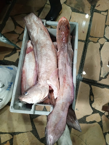 Pescadería la caraguay - Gastronomía y hostelería